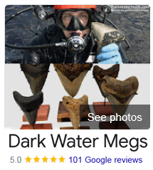 Reviews for Dark Water Megs