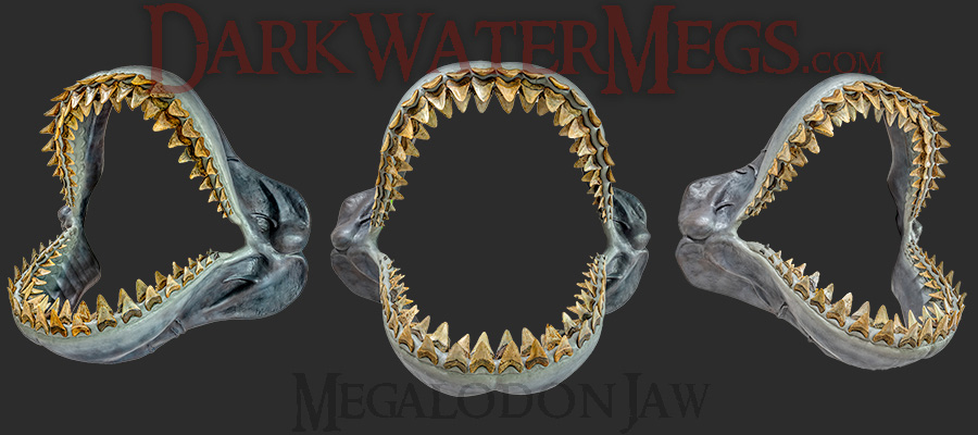 The Megalodon Jaw by Dark Water Megs
