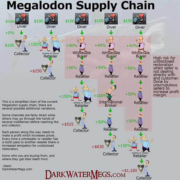 Megalodon Supply Chain
