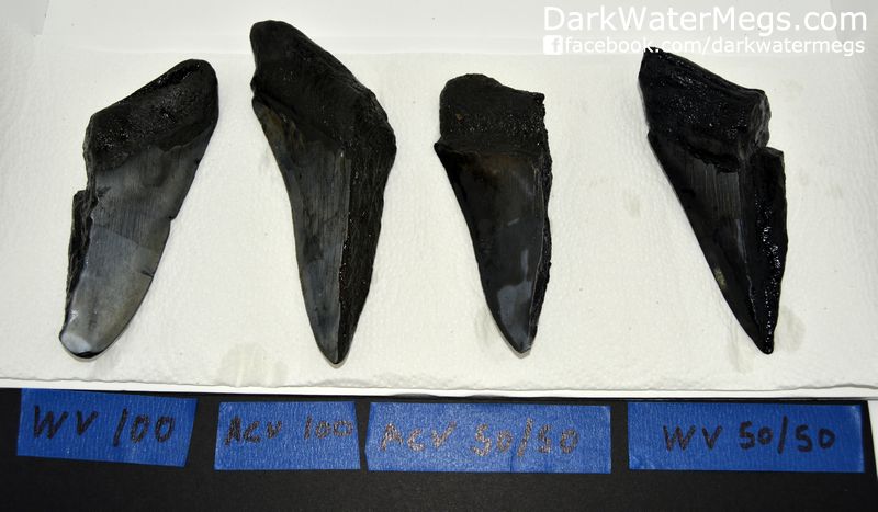 eth With Vinegar Experiment