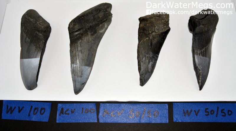 eth With Vinegar Experiment