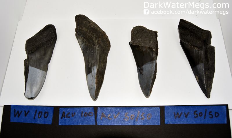 eth With Vinegar Experiment