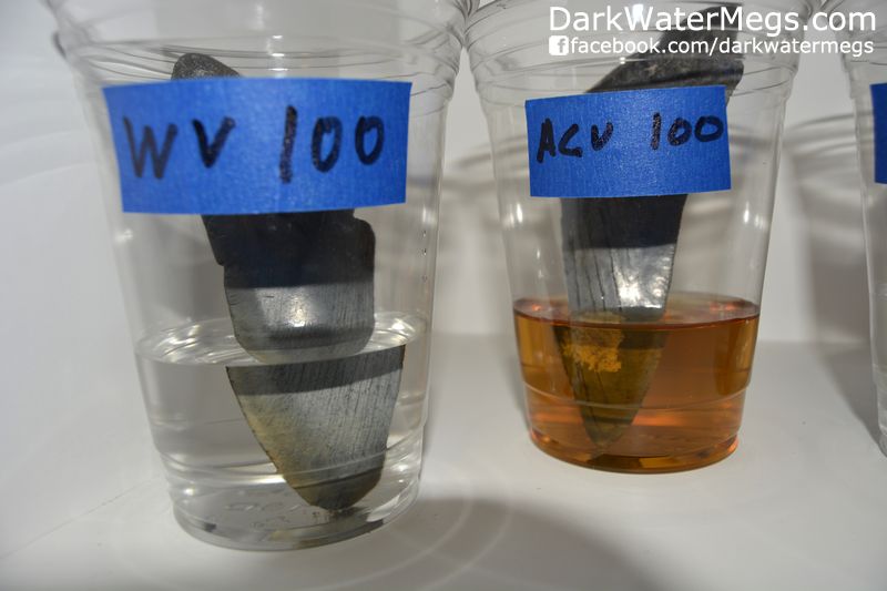 eth With Vinegar Experiment