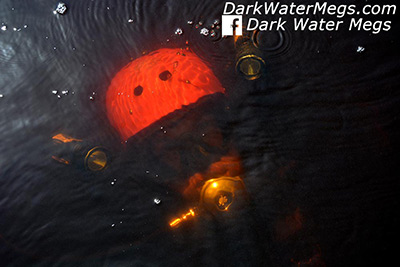 Megalodon teeth more expensive to recover